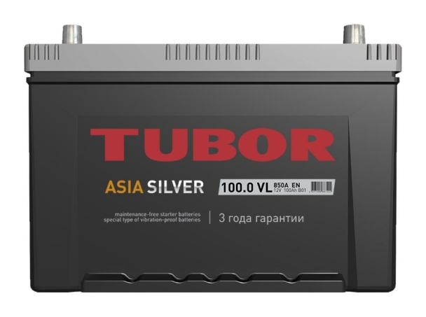 Tubor Asia Silver 6СТ-100.0 VL